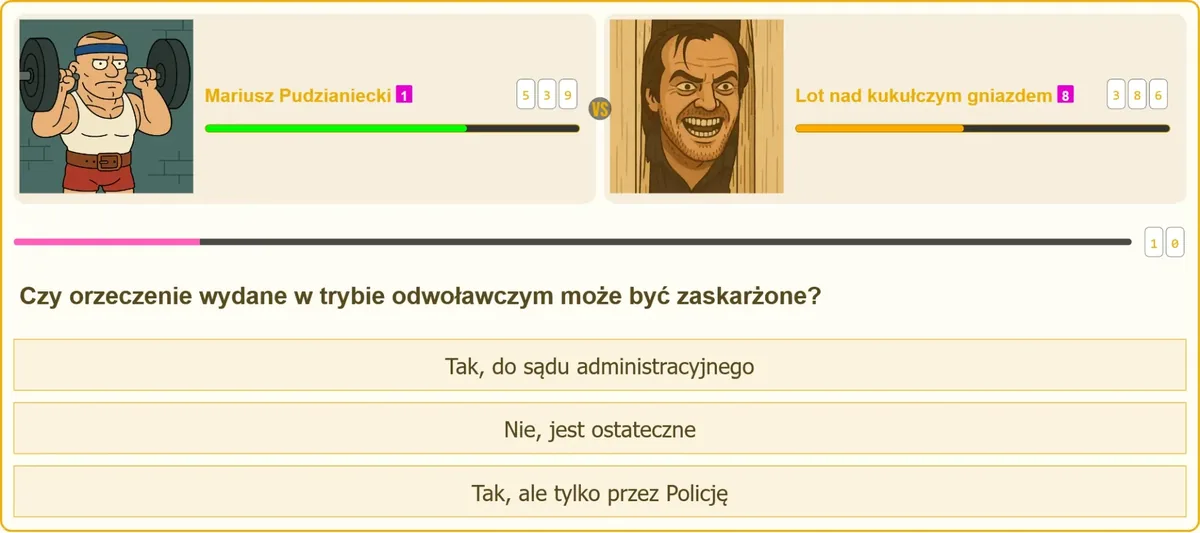 Orzeczenie w trybie odwoławczym w sprawie pozwolenia na broń